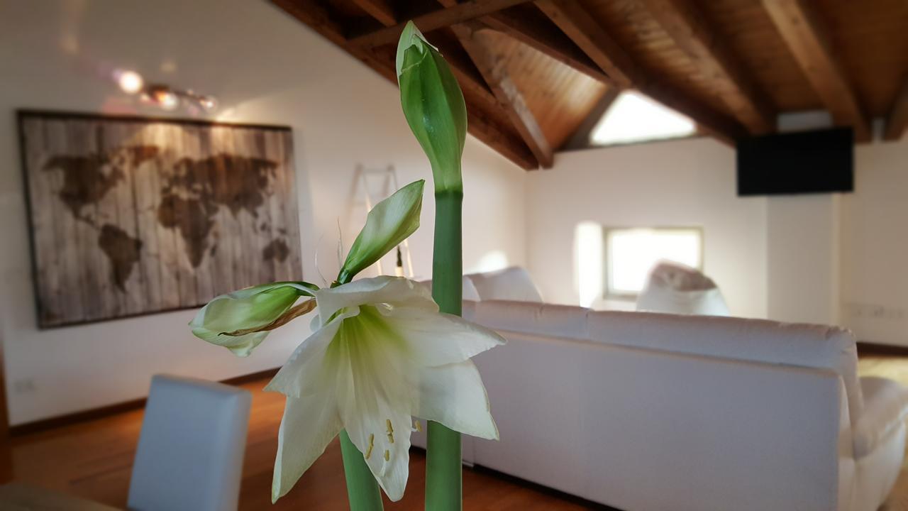 Donizetti Royal Guest house Bergamo
