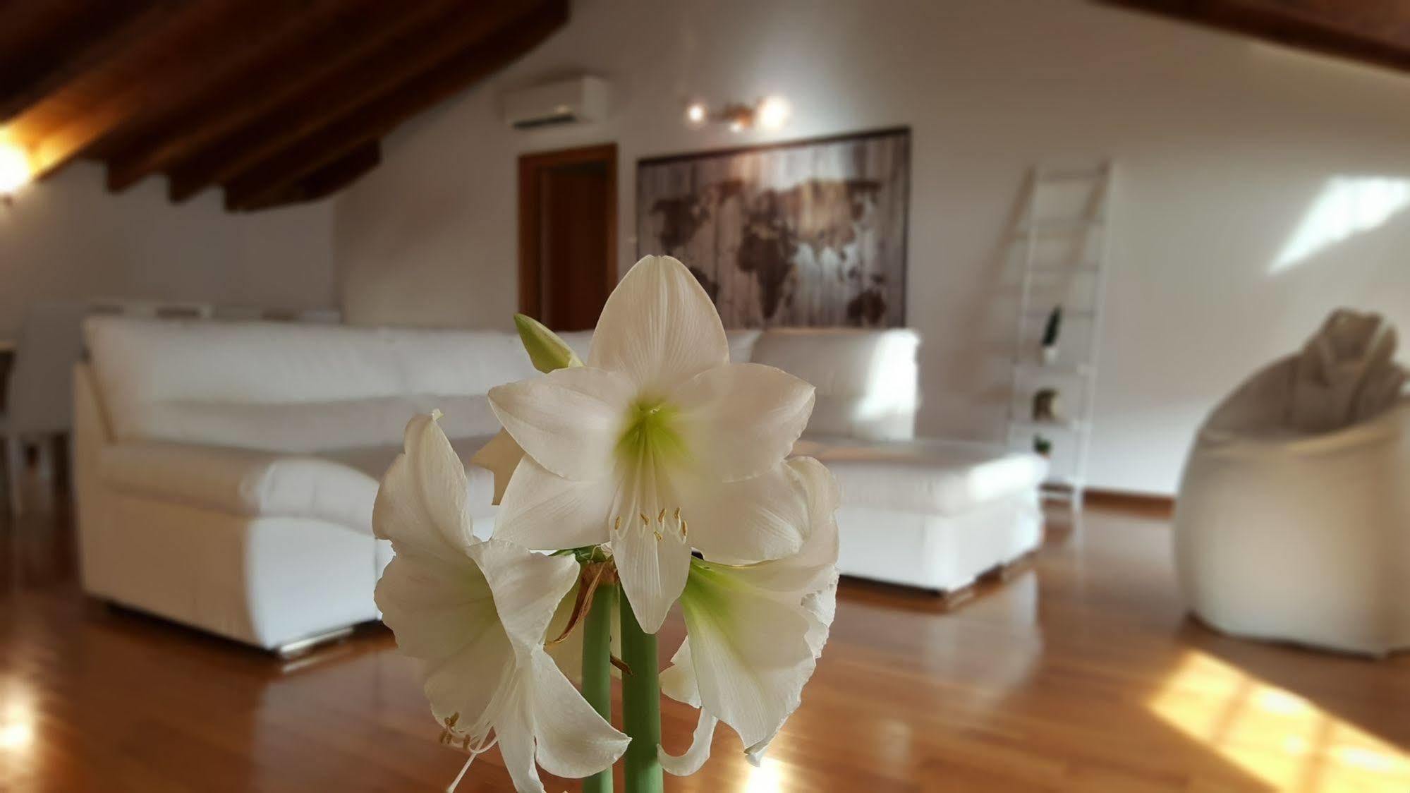 Donizetti Royal Guest house 3*